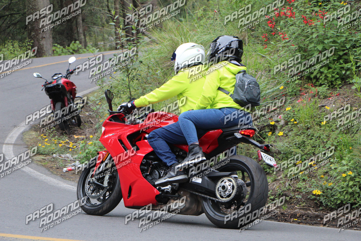 IMG 9331 wm 2186912 8 watermarked — Postimages