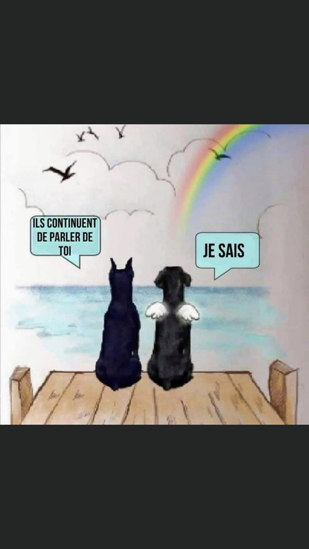 [Image: F72-E9-BF2-40-A2-4728-AEA2-F1234-F2-F81-E8.png]