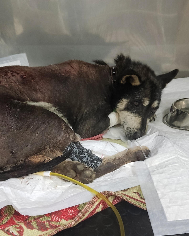 A1A25099-5AA7-43AB-ACF2-E9590C61458B