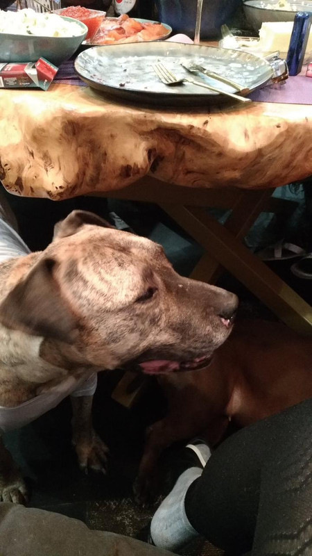 AC8B6370-5B32-46CB-BA4D-9C0F2331FD31