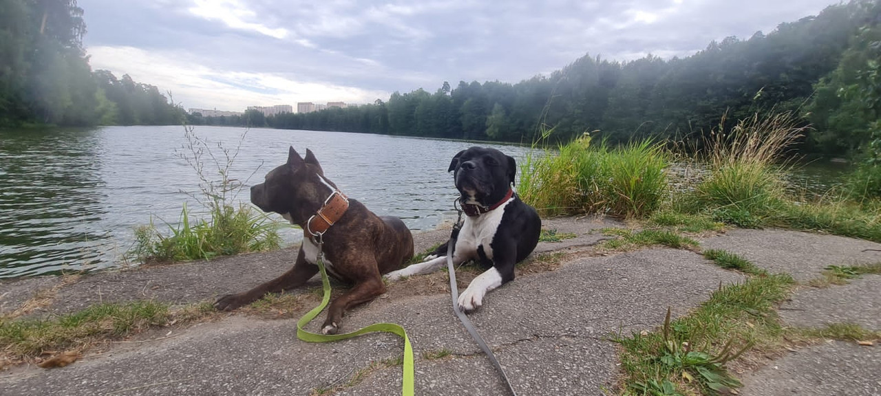 A40B4D31-B9C5-4278-A365-D0A7C67930A9