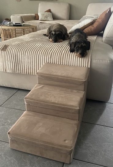 [Image: IMG-6549.jpg]