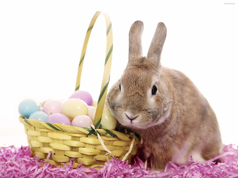 wielkanoc-147-zajac-koszyk-pisanki.jpg