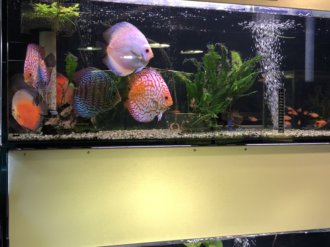 52130DA6-BF24-434D-8D74-978E7058CF3E