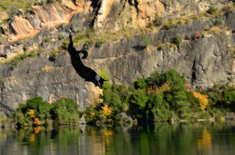 CAÑON DEL RIO GUADIELA-2011/2015-CUENCA - Paseando por España-1991/2024 (35)