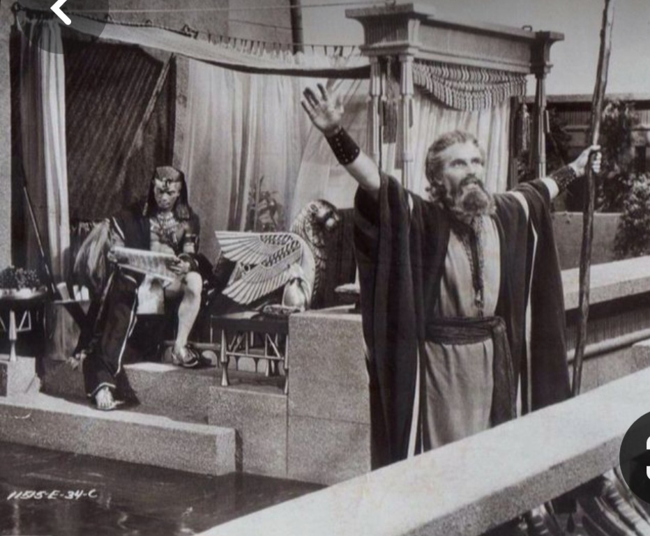 Screenshot_20240203_155816_Pinterest