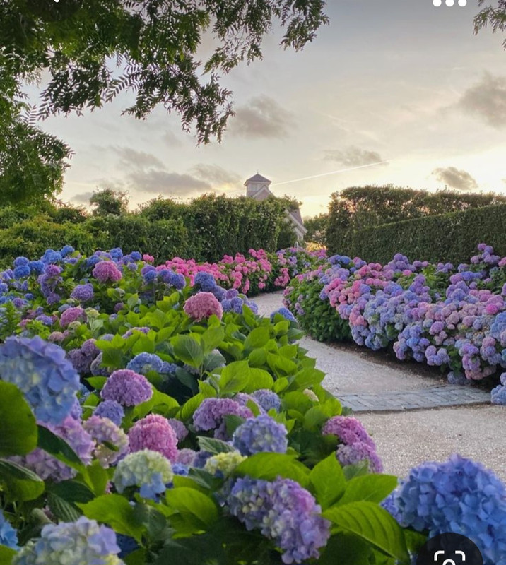 Screenshot_20231020_211201_Pinterest