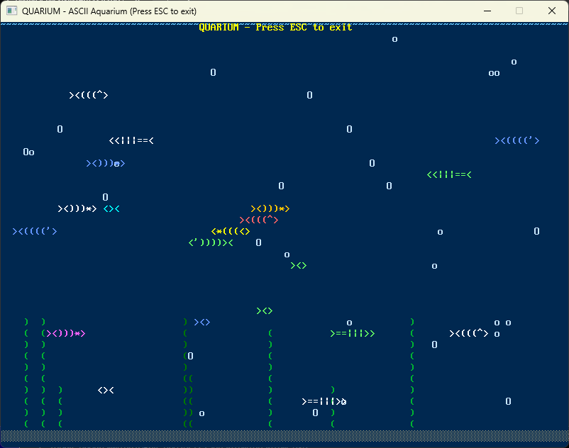 [Image: zylwm-msk-2025-11-25-214307.png]