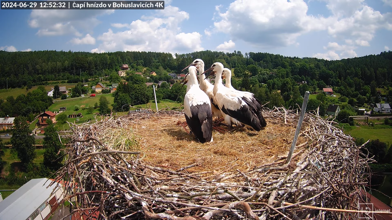 Živě z čapího komína firmy KARA v Bohuslavicích u Trutnova 12-10-45 screenshot