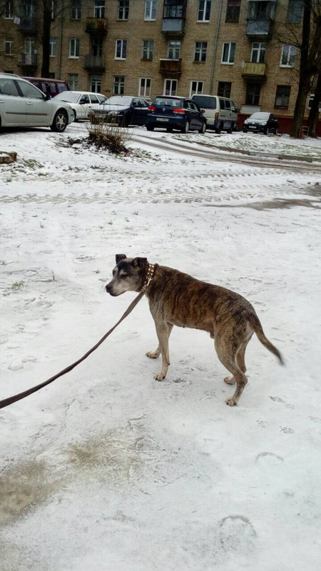 A0B14498-8B9E-453B-B909-8B69858033B3