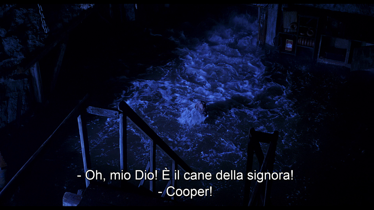 vlcsnap-2022-07-19-10h13m42s314