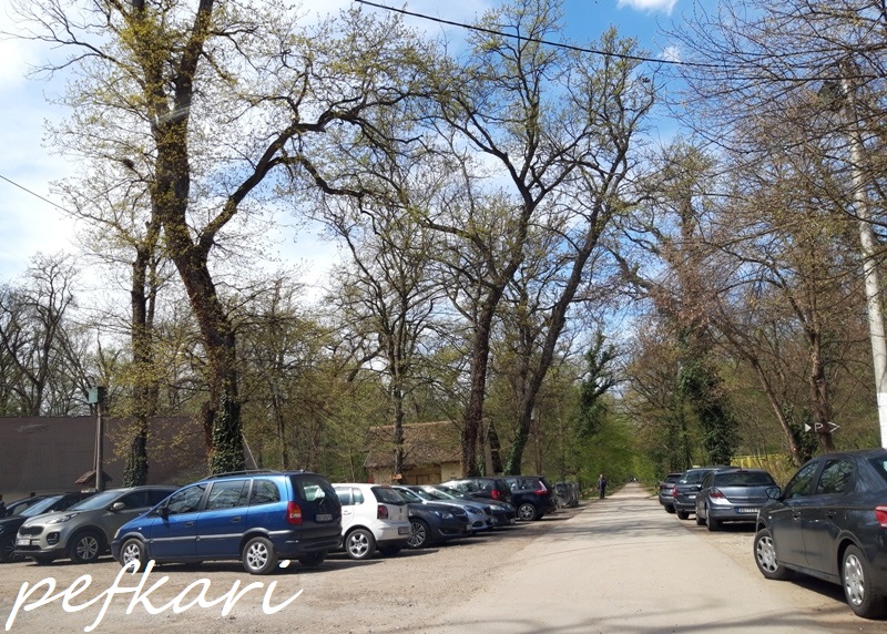 Slika
