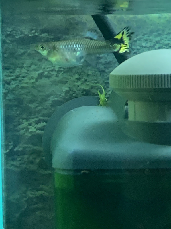 28590469-FF8C-42DC-8C2E-2FDBF9A91147