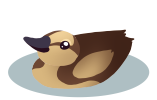 Wv-E-ducky3.png