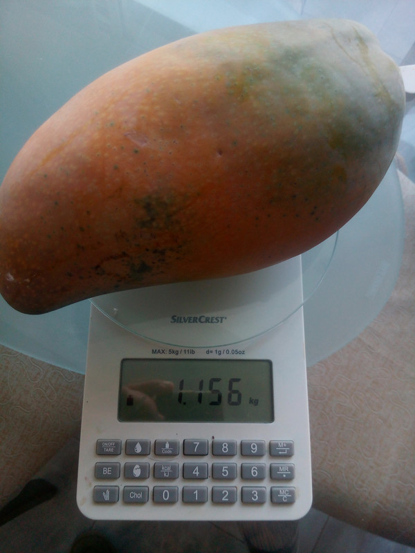 IMG_20200920_181723[1]