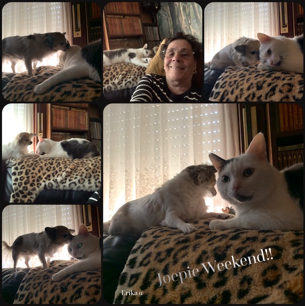 5C0A97FE-0271-4224-A239-70FB66C5C6D0