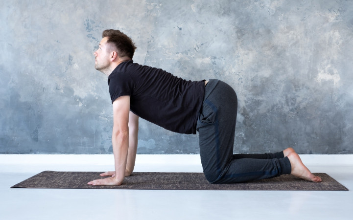 Cat-Cow Posture