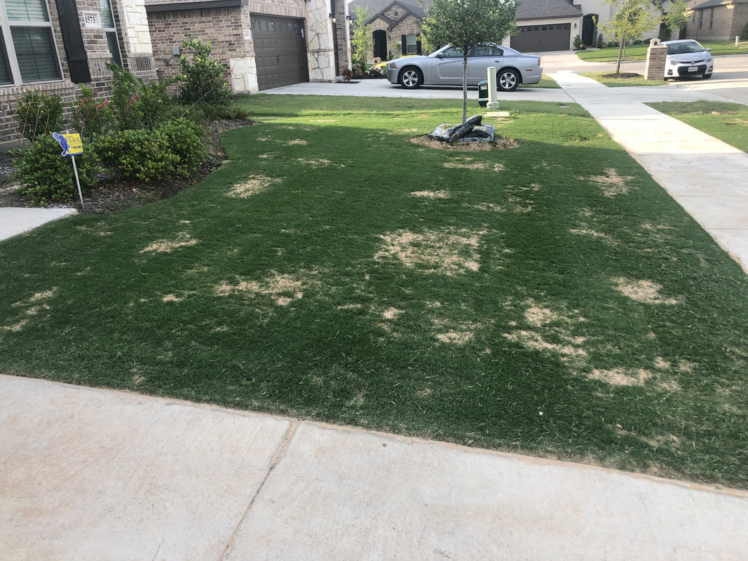 CE44A520-F3AA-4099-8079-150BB78E3FF3