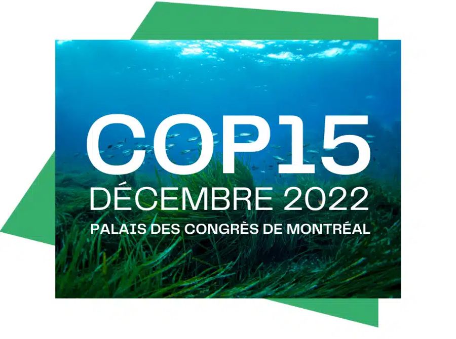 cop15 montreal canada
