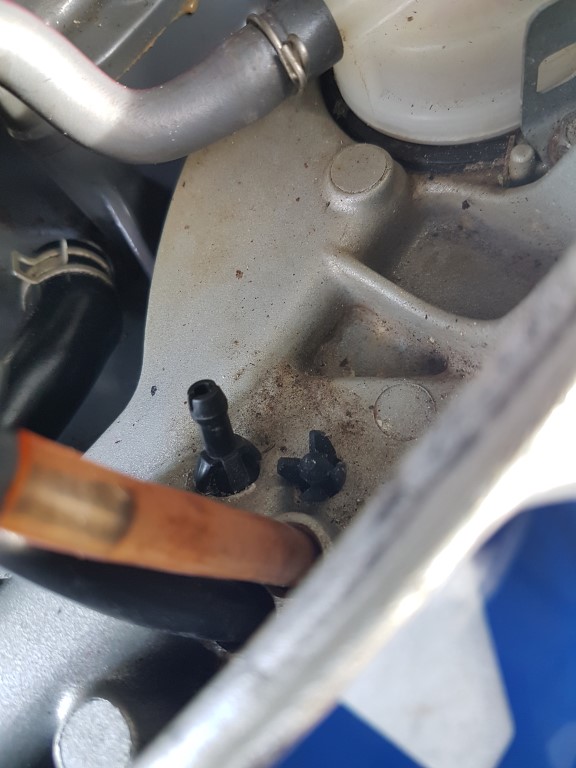 20201113_165001 (Medium)