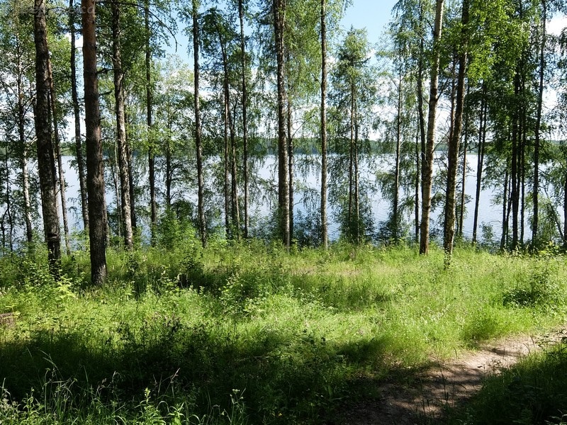 DSCF8822