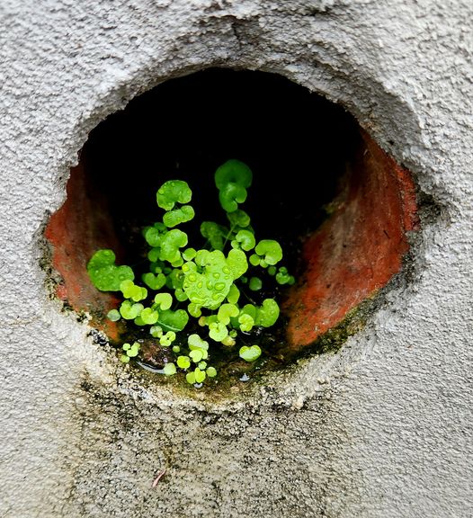 412202778 10228666279913885 4968885230276155936 n