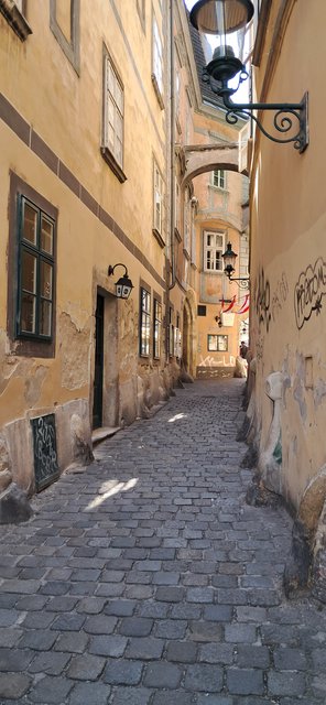 Viena: La ciudad de la música, de las artes y de los sueños - Blogs de Austria - Dia 1: Museo Sisí, biblioteca nacional, Opera y Free tour (33)