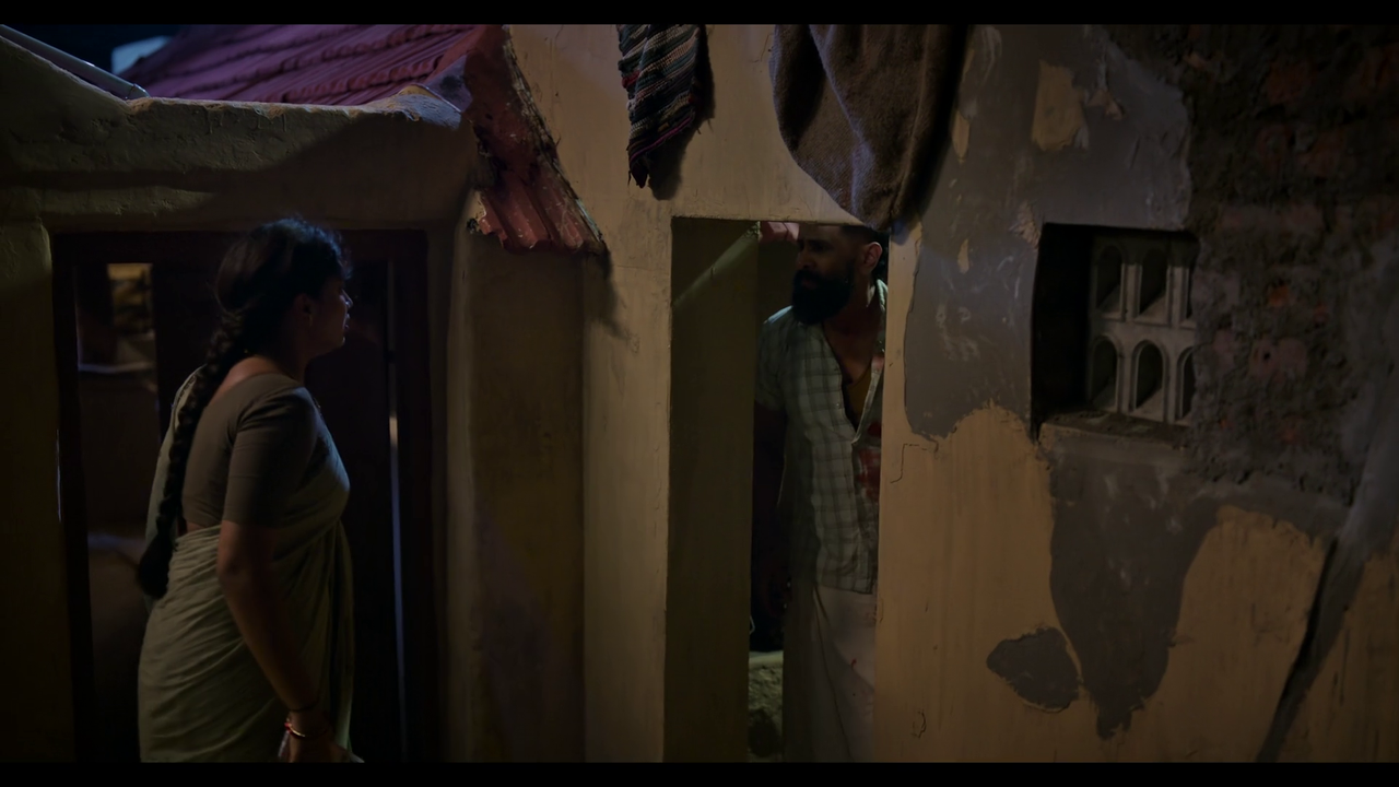 vlcsnap-2025-04-24-21h19m22s011