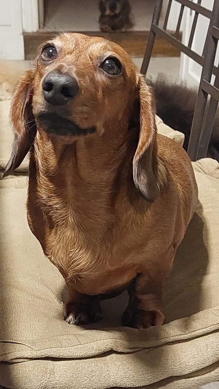 [Image: IMG-20260109-075910.jpg]