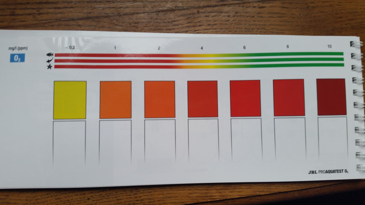 1670668699810-212528741