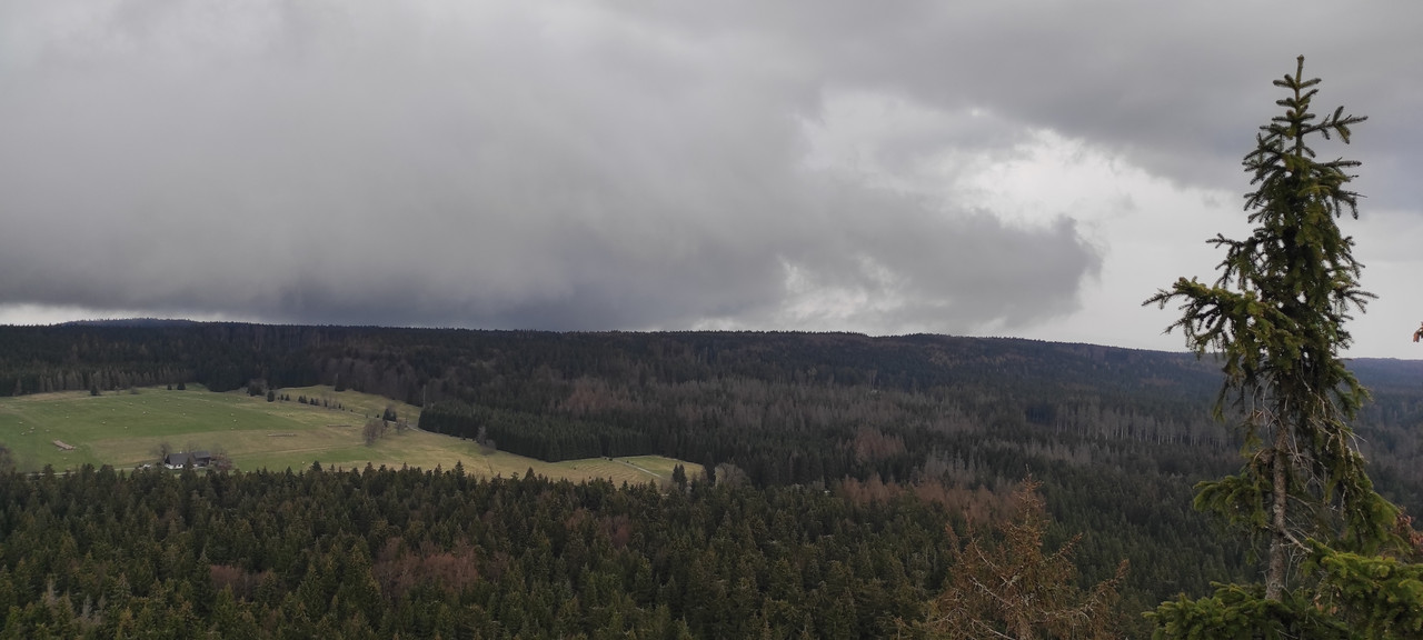 04.08 - IMG_20230429_170048 (Czesio1)