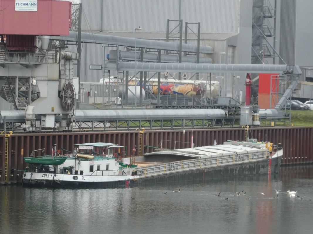 2021.01.06a Zula 1 (1280x960)