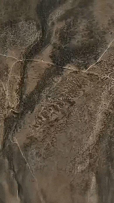 https://i.postimg.cc/65XhQX72/video-2026-07-14-06-20-48-(1).gif