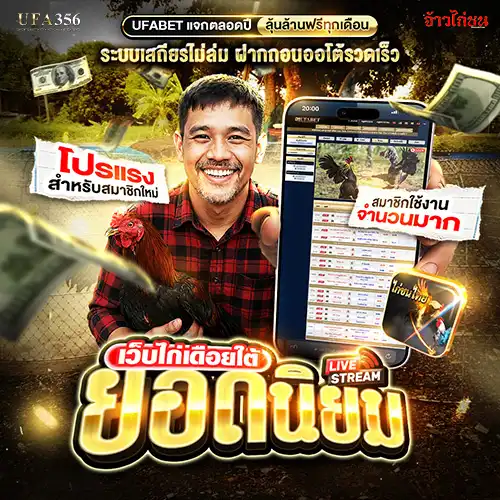 ดูไก่ชนสดออนไลน์ ถ่ายทอดสดไก่เดือยสด ภาพคมชัด