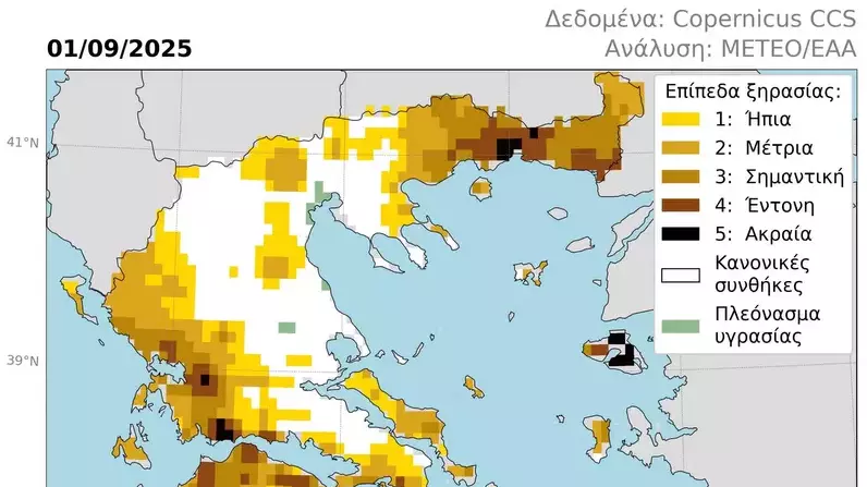 κοζάνη, ειδήσεις, νέα, Πτολεμαΐδα
