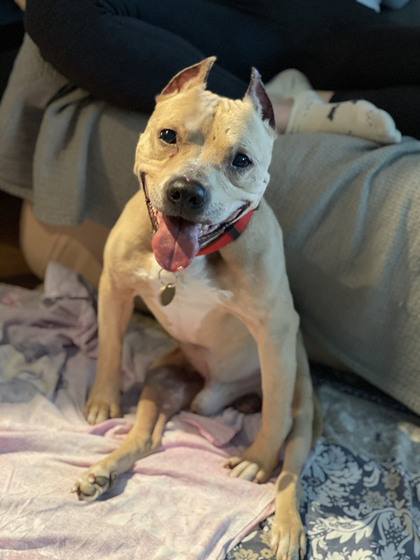 3AB6D9F7-653D-4D53-AE17-A8DB7232D7D6