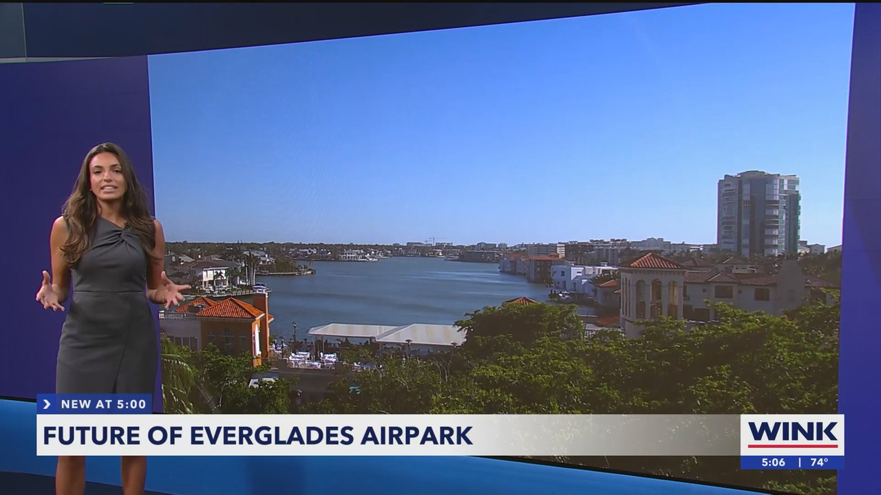 WINK News at 5pm_20250311_21002130.ts_snapshot_07.16.952