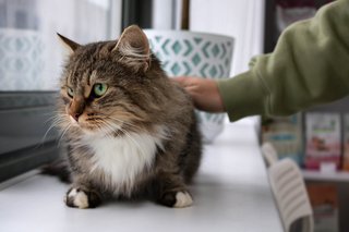 8F674646-F743-45CE-812E-0759EC8EA5A3