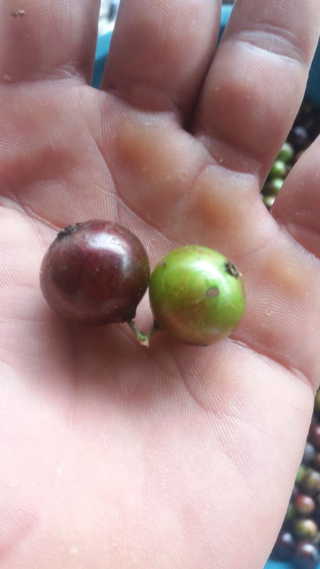 WhatsApp Image 2020-11-29 at 18.27.32 (4)