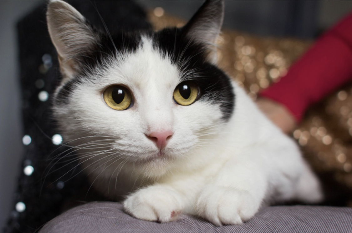 DDCA79F4-C572-40E0-8515-6DCBFFC4FD98