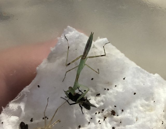 EA7A8584-B52F-4D69-B8BD-24133F100175