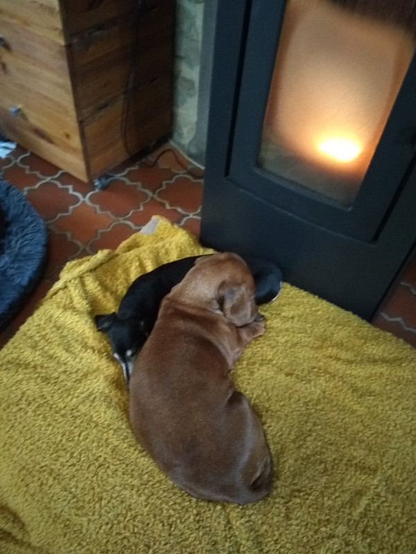 [Image: IMG-20210101-154708.jpg]