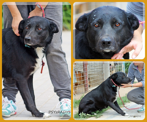 BeFunky-collage (22)