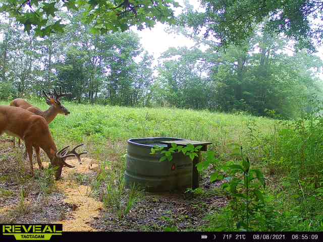 Tactacam Reveal X Picture Quality ALDEER COM