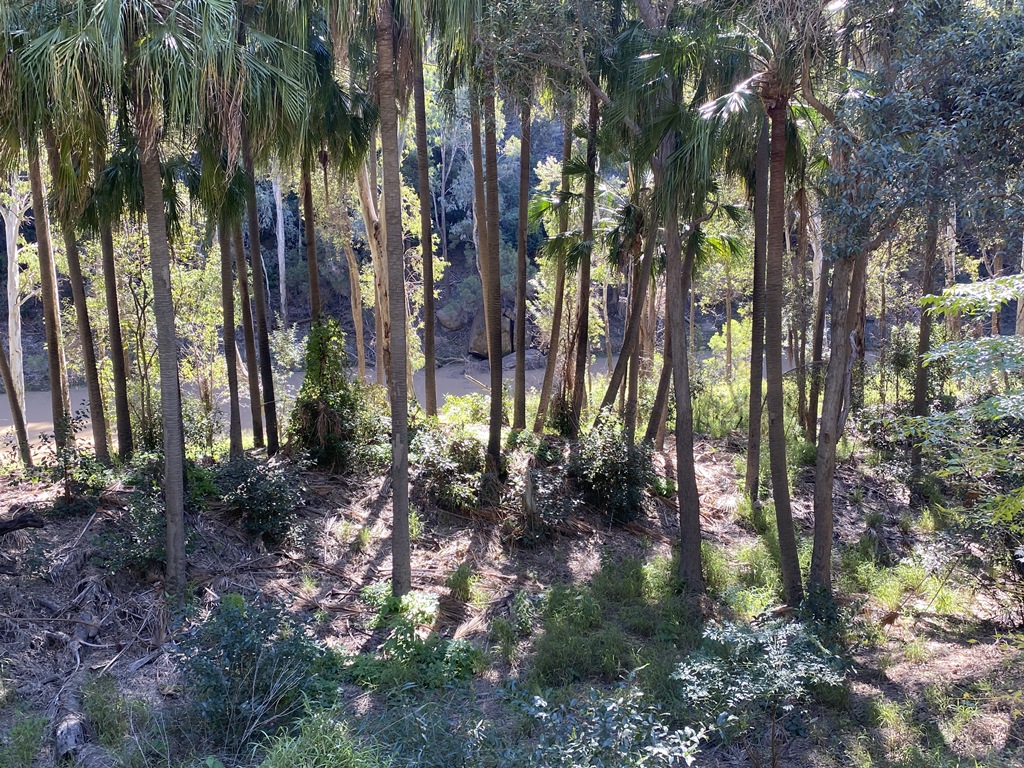 2022 (Jun) - Central (Nth) Qld Solo Trip(web) (107)