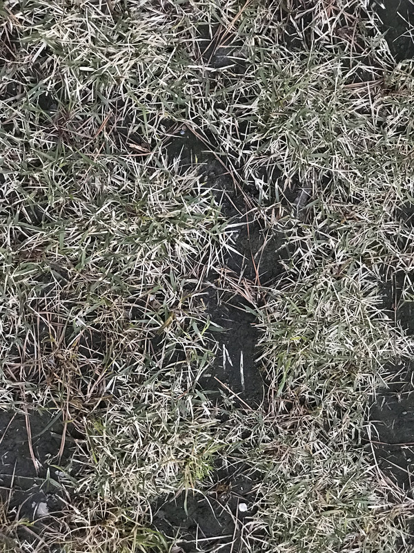 2DC8DDAB-9455-4B8D-9E73-178863C8DF94