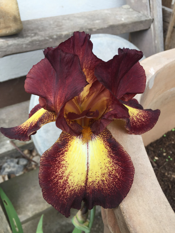 10ED224F-15E6-4F80-9B0F-30C72858F40E