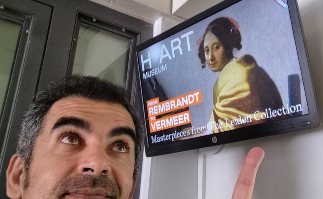 Escapada por Amsterdam - La Haya - Delft - Rotterdam - Leiden - Londres - Blogs de Europa - Museo Mauritshuis, decepcionante Depot Boijmans y callejeo por Delft y Leiden (143)