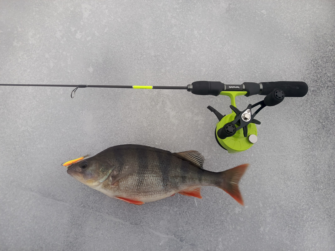 IMG_20250129_154028_656@-568687597