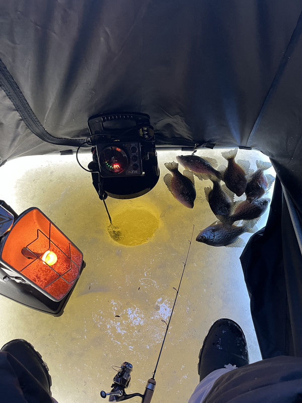 51863C08-BF81-4F1F-B212-53F573966B45